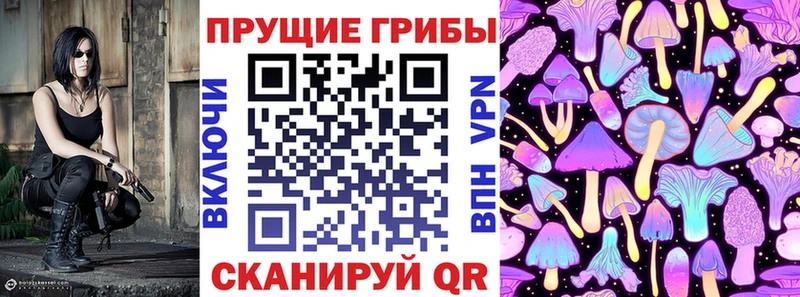Купить где  Тара  Галлюциногенные грибы GOLDEN TEACHER 